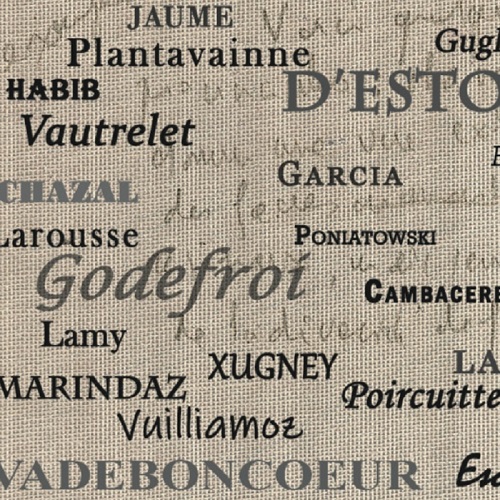 Les noms de famille de Libramont-Chevigny et des régions voisines. Comment et pourquoi ont-ils été créés ? Comment se sont-ils transmis ?